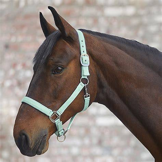 Perlon Halter Satin — Mint (Pony)